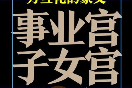 紫薇斗数免费合婚