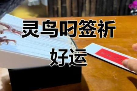 关帝灵鸟叼签