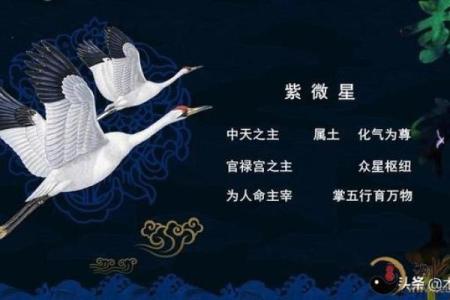 夫妻紫薇天府星