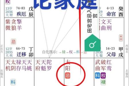 紫薇斗数紫薇在田宅