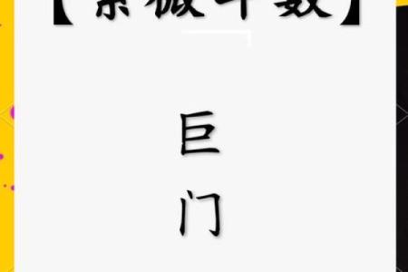 测紫薇斗数app