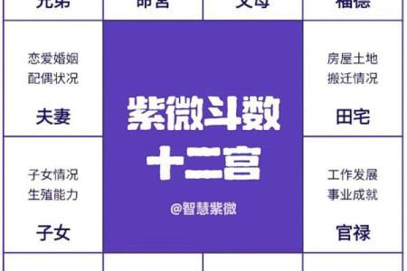 紫薇斗数看命运