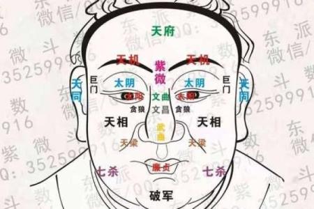 紫薇斗数看命运好坏