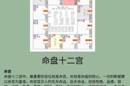 紫薇斗数看兄弟宫化权