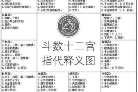 紫薇斗数怎么kan